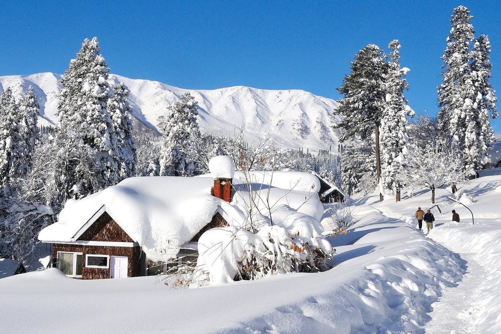 3 Nights 4 Days Kashmir Tour