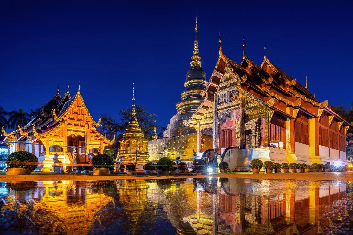 imgae
